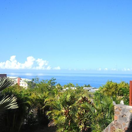 T2 Classe 4 Etoiles Avec Jardin, Piscine, Vue Mer A Saint-Gilles-Les-Bains エクステリア 写真