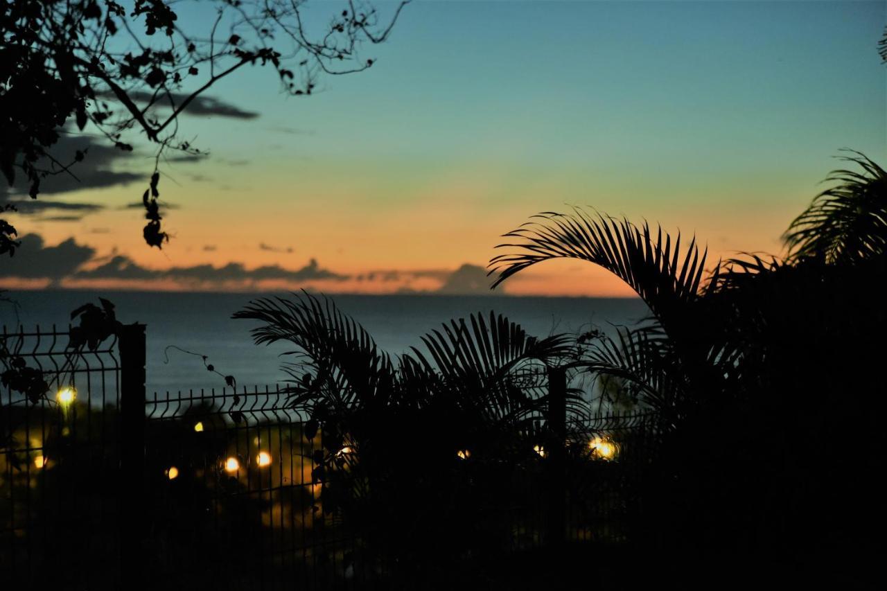 T2 Classe 4 Etoiles Avec Jardin, Piscine, Vue Mer A Saint-Gilles-Les-Bains エクステリア 写真